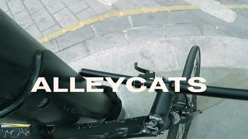 Alleycats Bild 2
