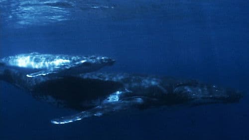 Am Ende Der Welt Bild 3