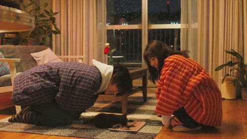 We Made a Beautiful Bouquet Bild 7