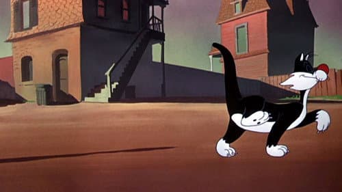 Böse, olle Miezekatze Bild 1