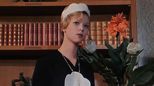 Parties fines Bild 3