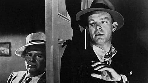 Geheimagent T Bild 5