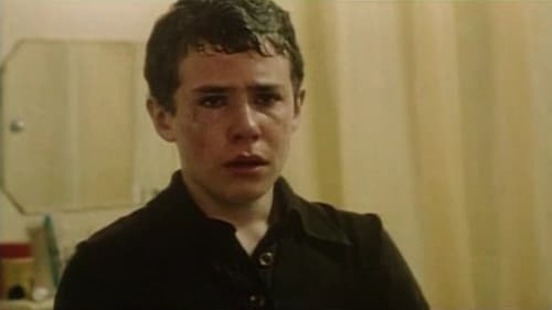 All Over Brazil Bild 2