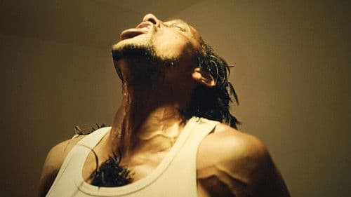 Pou fé lèv soleil Bild 1