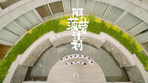 阿菠萝计划 Bild 1