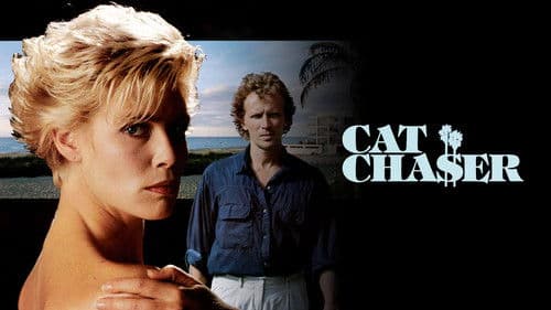 Hexenkessel Miami Bild 8