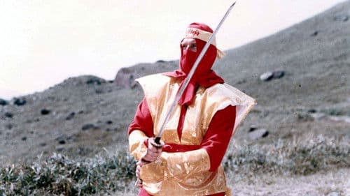 Cobra Against Ninja Bild 3