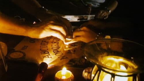 The St. Francisville Experiment Bild 7