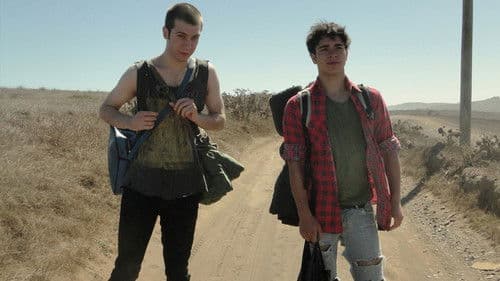 Ein Sommer der Liebe Bild 4