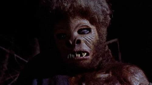 Das Zauberschwert Bild 6