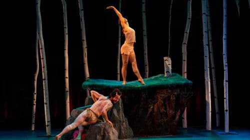 Enter the Faun Bild 1