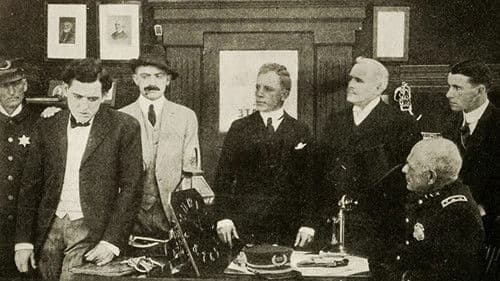 The Flaw in the Alibi Bild 1