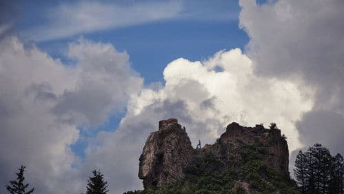 Walden: Life in The Woods Bild 2