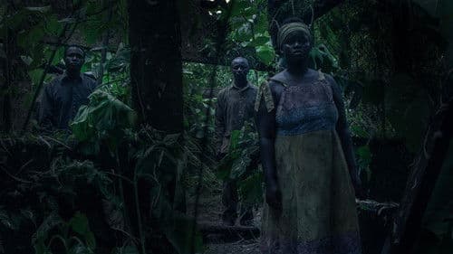 Yo vi tres luces negras Bild 3