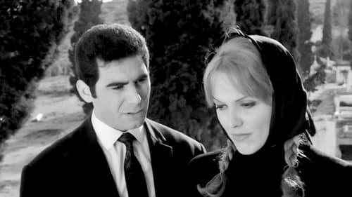 Κυνηγημένη προσφυγοπούλα Bild 4