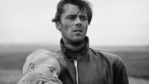 Ein Kind war Zeuge Bild 4