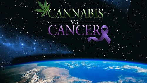 Cannabis vs. Cancer Bild 1