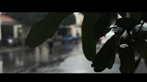 Un Dia Solitario en Invierno Bild 2