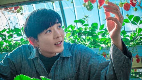 リスタートはただいまのあとで Bild 5