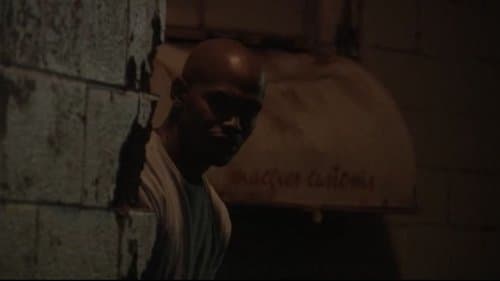 In the Crossfire Bild 1