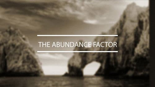 The Abundance Factor Bild 1