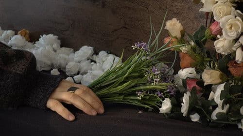 Meus Sentimentos Bild 1