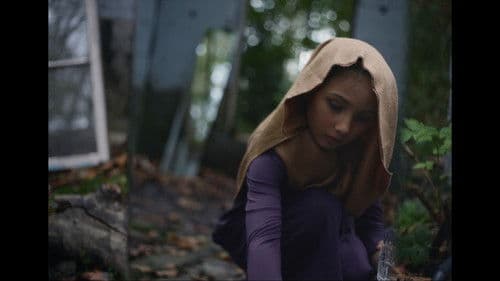 Pieces Within Bild 1