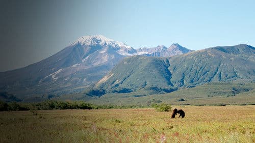 Wildes Russland Bild 3