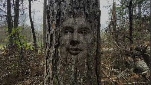 Easy Rest Inn Bild 5