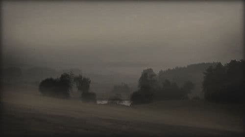 Blight Of Humanity Bild 1