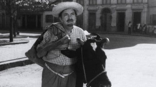 No Paraíso das Solteironas Bild 2