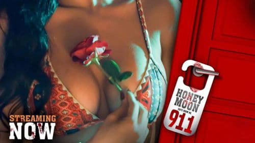 Honeymoon Suite Room No 911 Bild 2