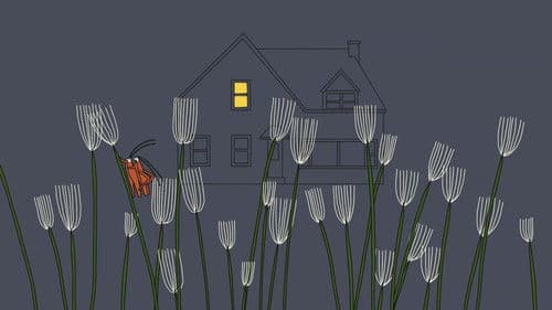 Mädchen sind mir lieber Bild 2