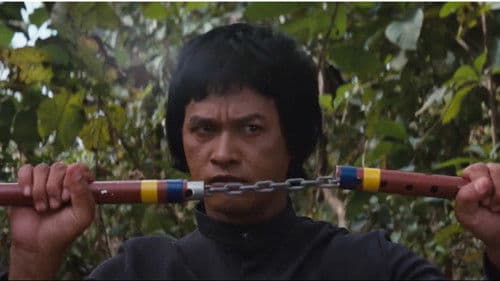 Bruce Lee - Die große Kampfmaschine Bild 1