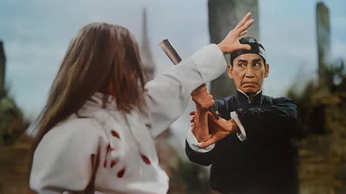 黃飛鴻少林拳 Bild 1