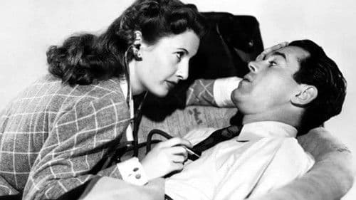 You Belong to Me Bild 2