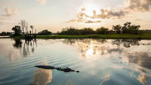 Magical Land of Oz Bild 3