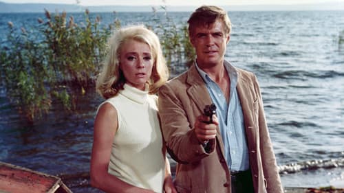 Jedes Kartenhaus zerbricht Bild 2