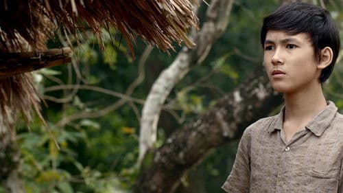 Tôi Thấy Hoa Vàng Trên Cỏ Xanh Bild 2