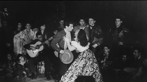 Nous, les Gitans Bild 2