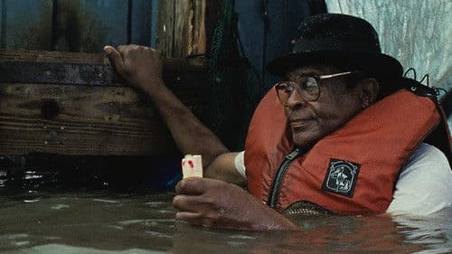 Beasts of the Southern Wild Bild 7