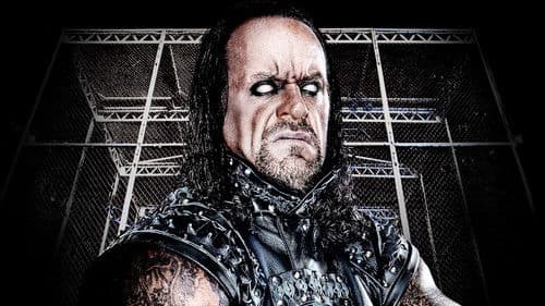 WWE Hell In A Cell 2010 Bild 1