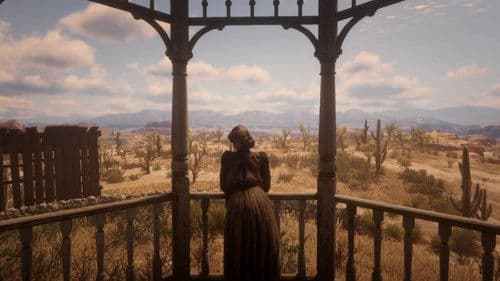 Western Simulacrum Bild 1