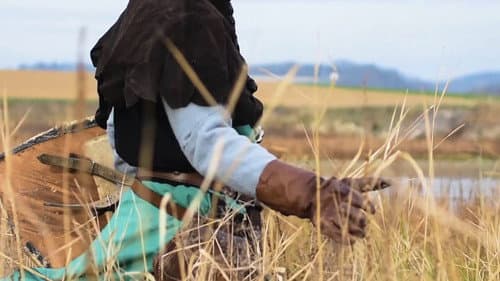 Send me an Angel Bild 5