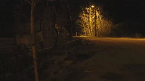 Karadedeler Olayı Bild 1