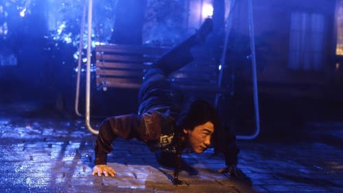 Shaolin Kickboxer Bild 2