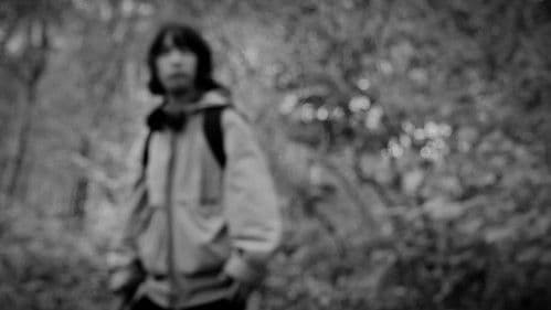 the forest of great mystery and emptiness Bild 6