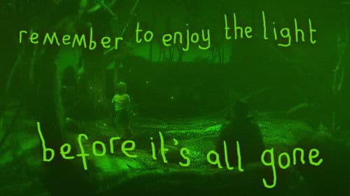 Remember To Enjoy The Light Before It’s Gone Bild 7