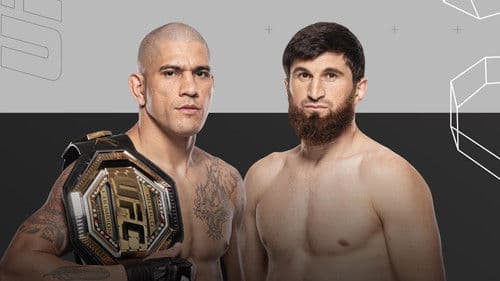 UFC 313: Pereira vs. Ankalaev Bild 5