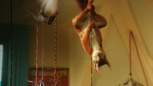 Flora & Ulysses Bild 5